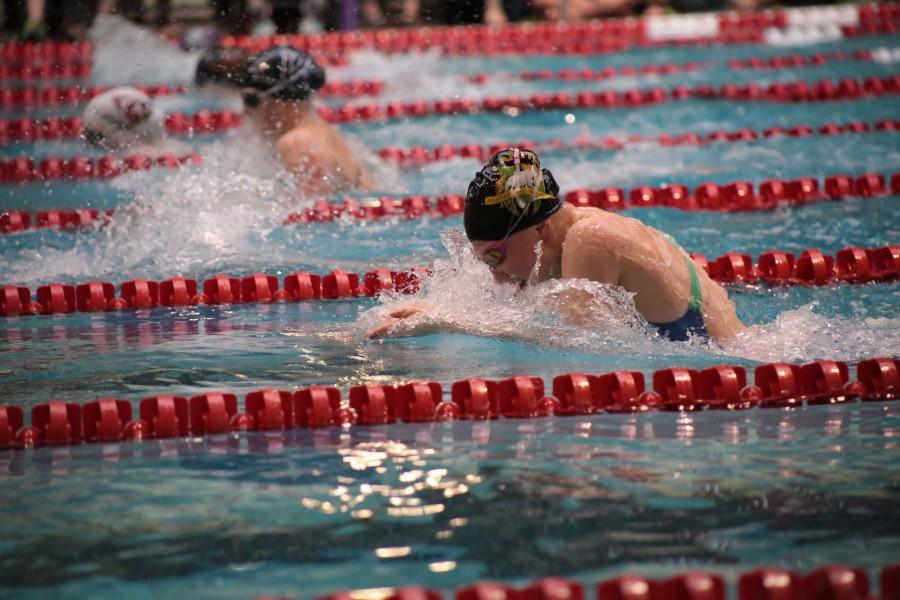 Sam+White+competes+in+the+record-breaking+200+Medley+Relay+during+the+2014+season.