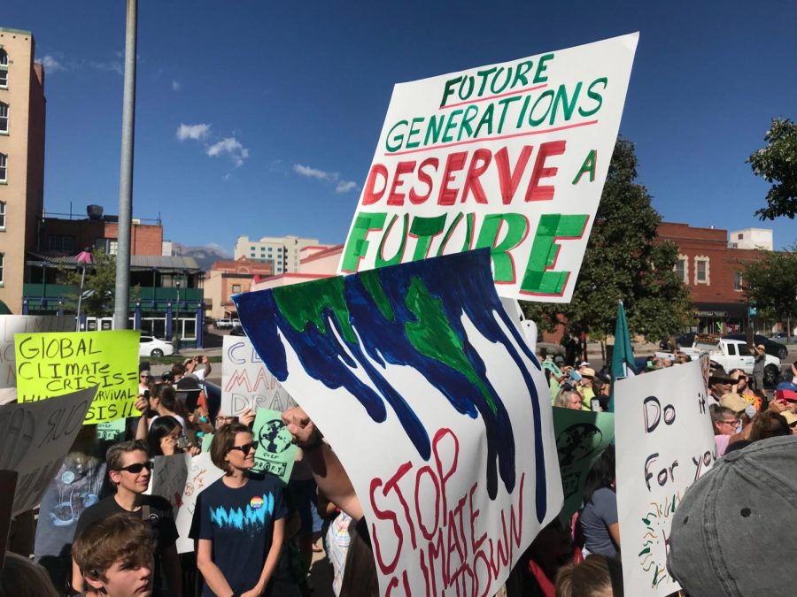 Attendees of the Climate Strike made countless posters with witty remarks encouraging action to be taken and to raise awareness for the effects of climate change.