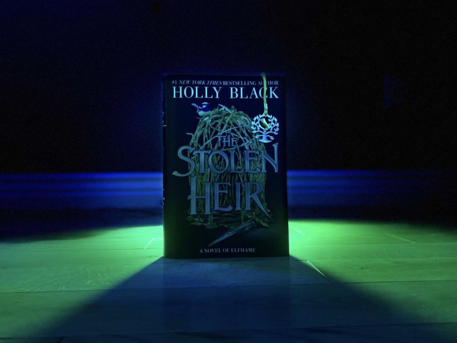 The+Barnes+%26+Noble+special+edition+of+The+Stolen+Heir+by+Holly+Black.