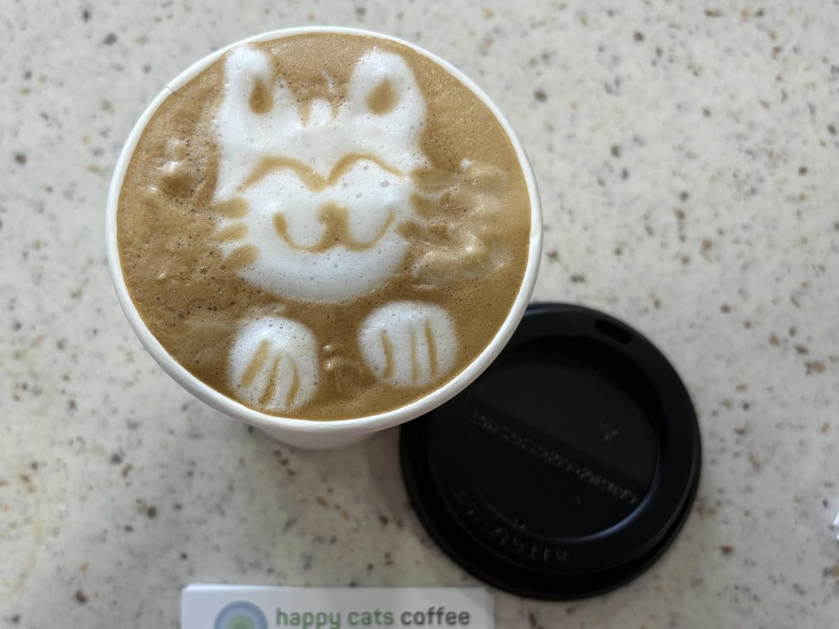 A latte with a cat design on the top.