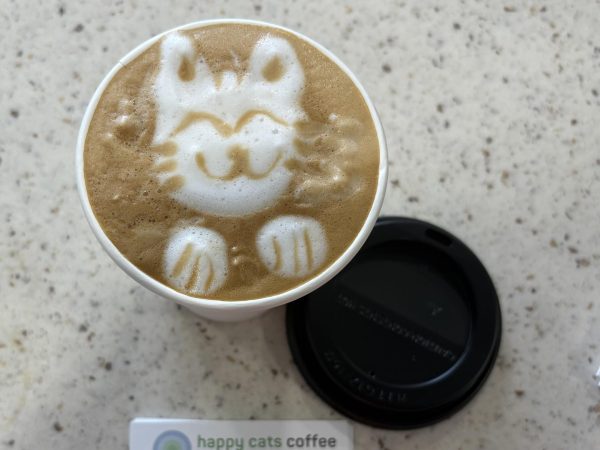 Happy Cats Coffee puts cat designs into their lattes.