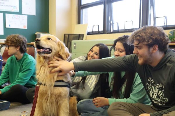 Students Jarrin Hall (12), Makenzi VerVaecke (12), and Coral Shlomo (11) pet therapy dogs on Mustang Strong Day as the dogs wander around the classroom.