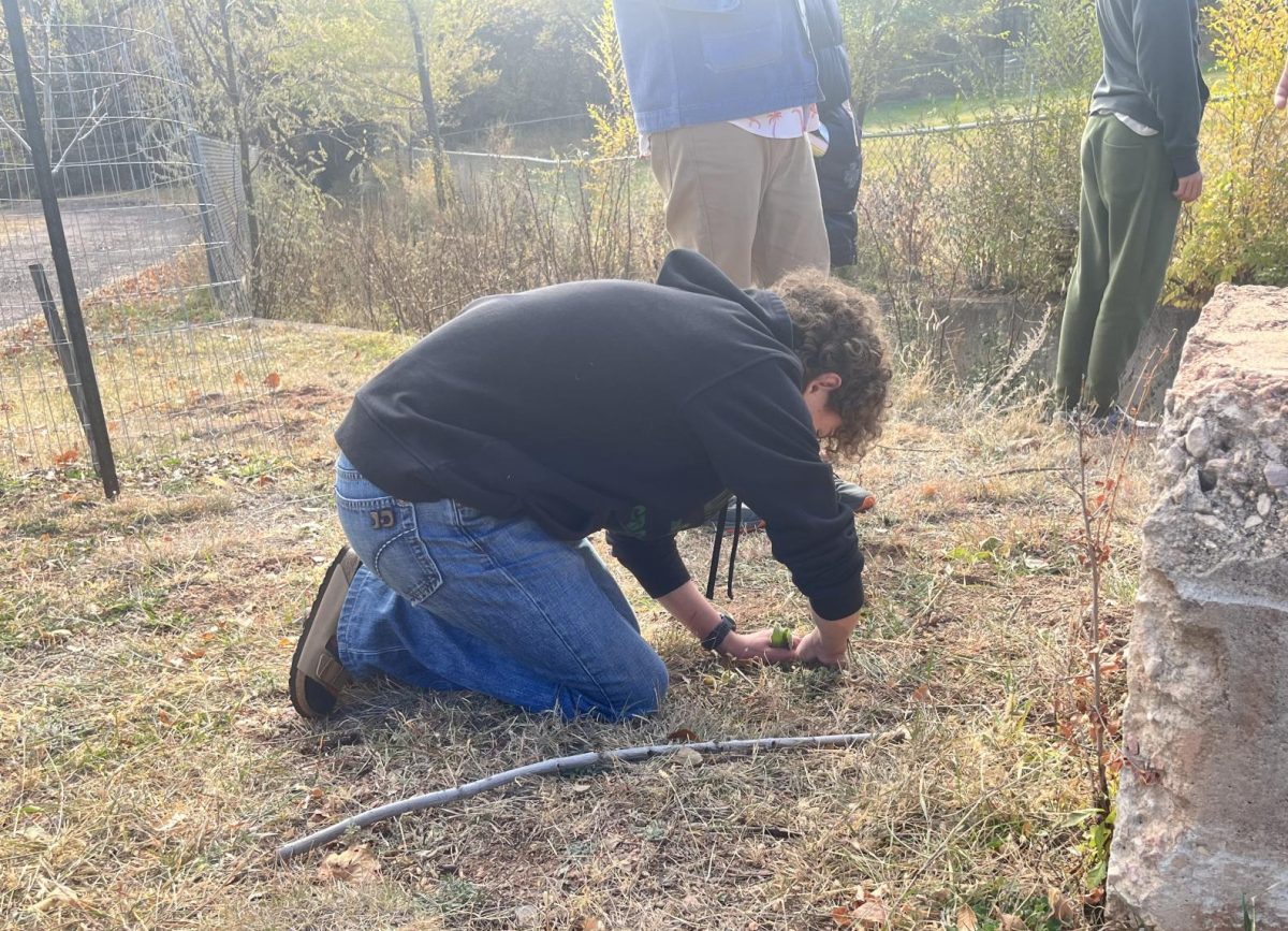 Brodie McCall (10) pulls a weed at the Crystal Hills Cemetery on Nov. 6 to clean up the space. McCall is volunteering alongside his 1A Environmental Science class.
