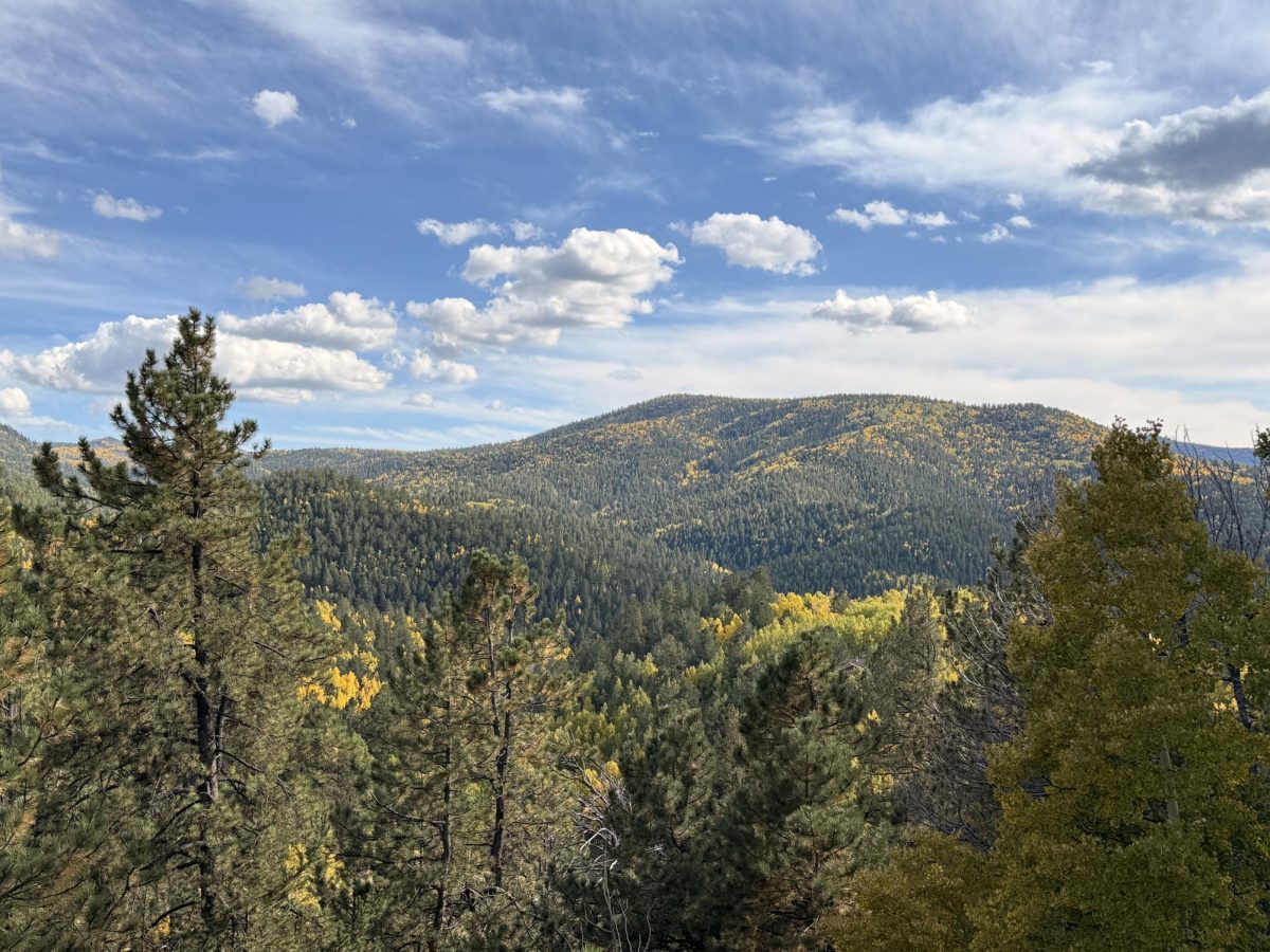 Nearly 20,000 acres of land was offered up for lease for oil and gas companies to take. This includes open forests and mountains.